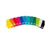 BLASETTI One Color 20sheets Multicolour Writing Notebook - Writing Notebooks (12