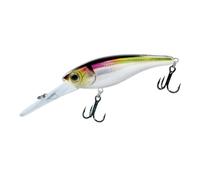 BLASHRD Floating Fishing Lure 70mm 10G Sinking Deep Diving Freshwater Saltwater Fishing Lure Crankbait Wobbler 1 PCS
