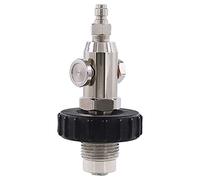BLASHRD PCP Stainless Steel Tank Fill Station Station 300Bar Din Valve Scuba Tank Fill Station with Quick Fitting Black