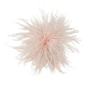 Blausky 1 Piece Feather Brooch Made of Ostrich Feathers 8-10 cm, Fluffy Feather Brooch for Clip-on with Clip and Pin, Hair Clip with Feather Decorative Corset Pin Badge for Clothes, Hat, Bag, Light