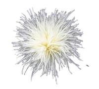 Blausky 1 x 8-10 cm Women's Feather Brooch, Fluffy Feather Flower Brooch, Natural Ostrich Feather Corsage Brooch with Clip and Pen, Feather Hair Clip, Hair Accessories for Hat, Dress, Cream