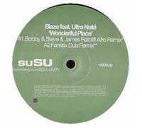 Blaze Ft Ultra Nate - Wonderful Place [12" VINYL]