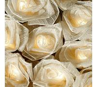 Blaze On Cabbage Rose Fairy Lights (Cream) - 30 Warm White LED Lights - Handcrafted Roses Created from Real Rubber Tree Leaves - USB Powered and Includes UK 3-Pin USB Adapter - Indoor String Lights