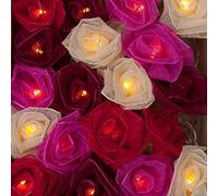 Blaze On Cabbage Rose Fairy Lights (Pink Tones) - 30 Warm White LED Lights - Handcrafted Roses Created from Real Rubber Tree Leaves - USB Powered and Includes UK 3-Pin USB Adapter