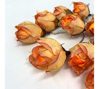 Blaze On Chelsea Rose Fairy Lights (Glowing Peach) - 20 Warm White LED Lights - Handcrafted Roses Created from Mulberry Paper - USB Powered with UK 3-Pin Adapter - Indoor String Lights
