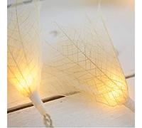 Blaze On Natural Leaf Fairy Lights (Cream Coloured) - 20 Warm White LED Lights - Handcrafted from Real Rubber Tree Leaves - USB Powered - Includes UK 3-Pin USB Adapter - Indoor String Lights