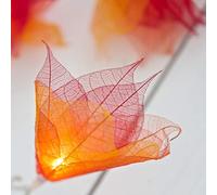 Blaze On Natural Leaf Fairy Lights (Fire Tones) - 20 Warm White LED Lights - Handcrafted from Real Rubber Tree Leaves - USB Powered - Includes UK 3-Pin USB Adapter - Indoor String Lights