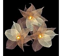 Blaze On Natural Leaf Fairy Lights (Rustic Tones) - 20 Warm White LED Lights - Handcrafted from Real Rubber Tree Leaves - USB Powered - Includes UK 3-Pin USB Adapter - Indoor String Lights