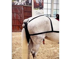 Blazea Waterproof Horse Manure Catcher Bag, Easy Fit Equine Manure Bag, Lightweight Horse Diaper Poop Bag for Street, Wedding Parade, Scenic Area(M)