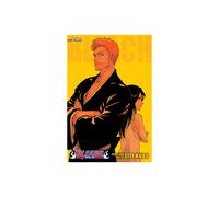 Bleach (2-in-1 Edition), Vol. 25