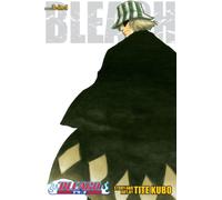 Bleach (3-in-1 Edition), Vol. 2