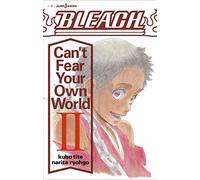 BLEACH Can't Fear Your Own World 2 (JUMP j BOOKS)
