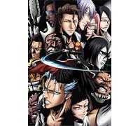 Bleach Poster Anime Merch Manga Group Collage Merchandise Series Comic Art Action Character Swords Ichigo Kurosaki Soul Reaper Viz Media Japanese Animation Cool Wall Decor Art Print Poster 16x24
