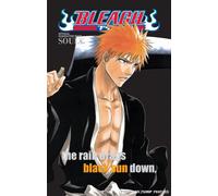 Bleach SOULs. Official Character Book