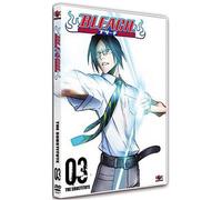Bleach the subtitute, vol. 3