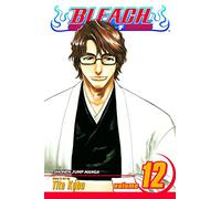 Bleach: v. 12: Flower on the Precipice: Volume 12