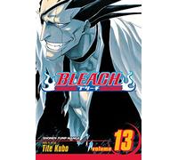 Bleach, Vol. 13