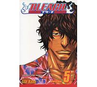 Bleach, Vol. 5 Volume 5