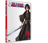 Bleach, vol. 10