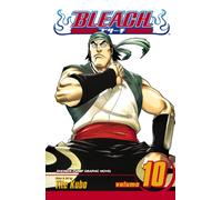 Bleach, Vol. 10 : Tattoo on the Sky
