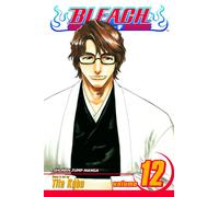Bleach, Vol. 12 : Flower on the Precipice