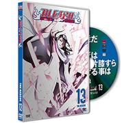Bleach vol.13