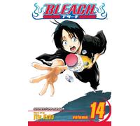 Bleach, Vol. 14 : White Tower Rocks Volume 14