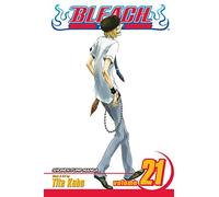 Bleach, Vol. 21: Be My Family or Not: Volume 21