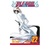 Bleach, Vol. 22 : Conquistadores