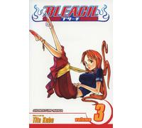 Bleach, Vol. 3 : Memories in the Rain Volume 3