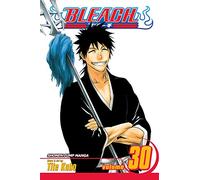 Bleach, Vol. 30: There Is No Heart Without You: Volume 30