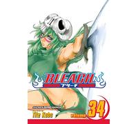 Bleach, Vol. 34: King of the Kill: Volume 34