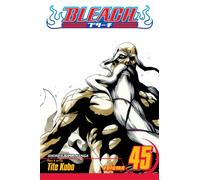 Bleach, Vol. 45 : The Burnout Inferno
