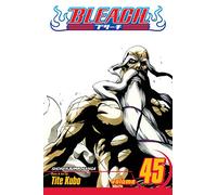 Bleach, Vol. 45 (Volume 45): The Burnout Inferno