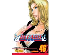 Bleach, Vol. 46 : Back from Blind