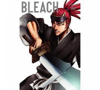 Bleach Vol.5 [Import allemand]