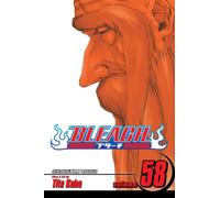Bleach, Vol. 58 : The Fire