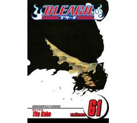 Bleach, Vol. 61: The Last 9 Days: Volume 61