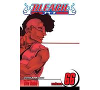 Bleach, Vol. 66 (Volume 66): Sorry I Am Strong