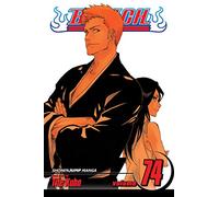 Bleach, Vol. 74: The Death and the Strawberry: Volume 74