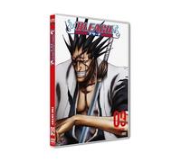 Bleach, vol. 9