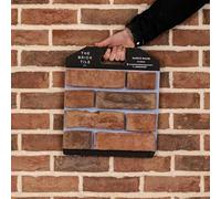 Blend 20 Brick Slip Sample - from The Reclaimed Collection of Brick Slips | The Brick Tile Company Yellow (2432736601)