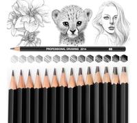 Blendura 14 Professional Drawing Pencils Sketching Pencils Set 12B, 10B, 8B, 7B, 6B, 5B, 4B, 3B, 2B, B, HB, 2H, 4H, 6H, Black, 14 unità (Confezione da 1), 14 Professional Drawing Pencils Sketching