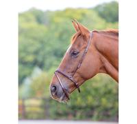 Blenheim Black Flash Noseband - Pony