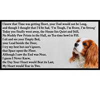 Blenheim Cavalier King Charles Spaniel Bereavement pet Loss Memorial Flexible Fridge Magnet - That Space Upon The Floor
