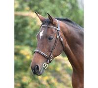 Blenheim Fancy Stitched Black Inhand Bridle - Shetland