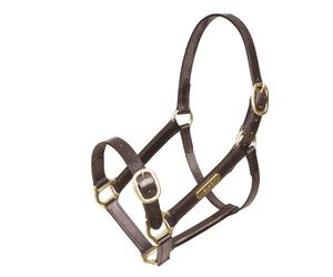 Blenheim Fully Adjustable Havana Brown Leather Headcollar - Havana - Yearling