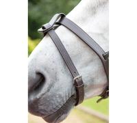Blenheim Havana Brown Flash Strap - Small Pony