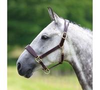 Blenheim Havana Brown Leather Travel Headcollar - Brown - Extra Full