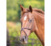 Blenheim Havana Brown Mexican Noseband - Cob